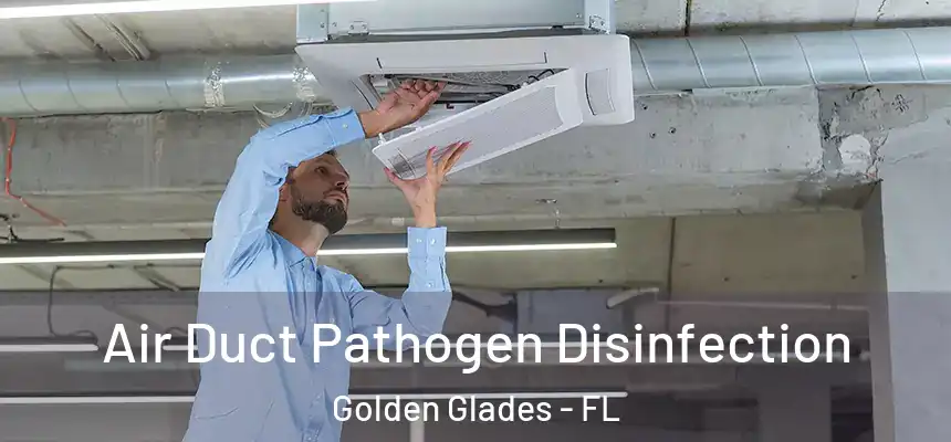 Air Duct Pathogen Disinfection Golden Glades - FL