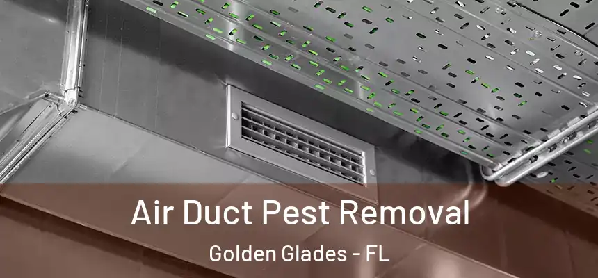Air Duct Pest Removal Golden Glades - FL