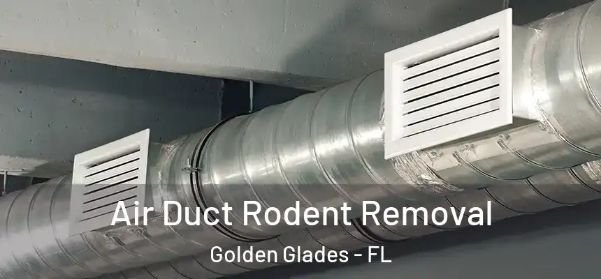 Air Duct Rodent Removal Golden Glades - FL