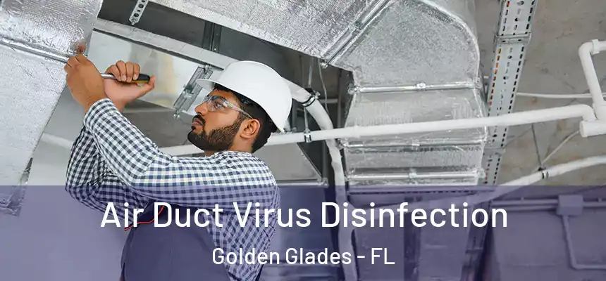 Air Duct Virus Disinfection Golden Glades - FL