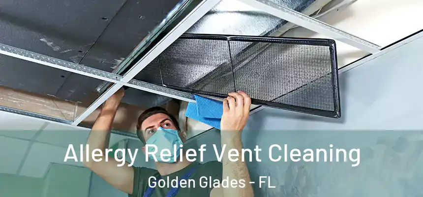 Allergy Relief Vent Cleaning Golden Glades - FL