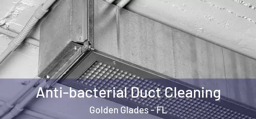 Anti-bacterial Duct Cleaning Golden Glades - FL