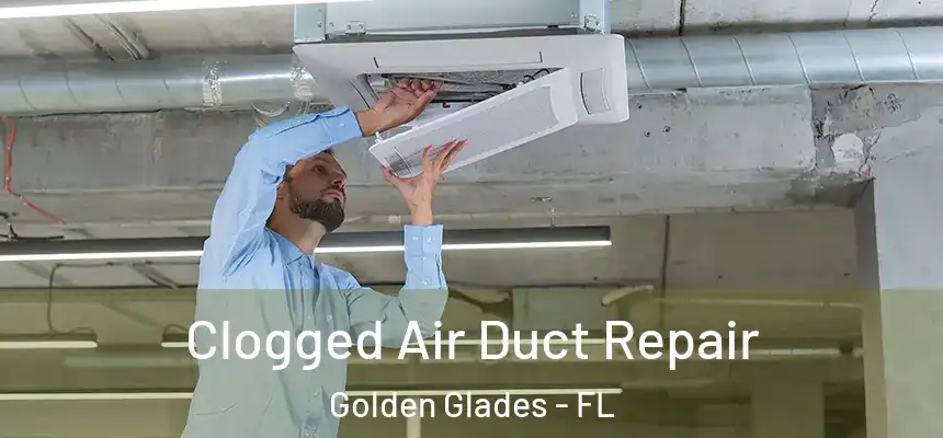 Clogged Air Duct Repair Golden Glades - FL