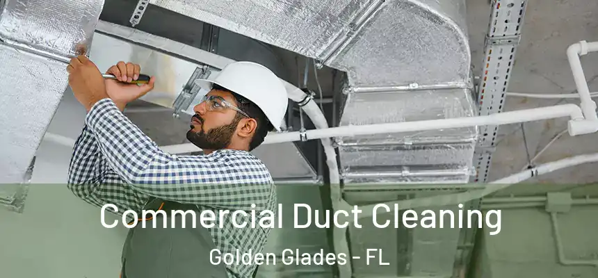 Commercial Duct Cleaning Golden Glades - FL