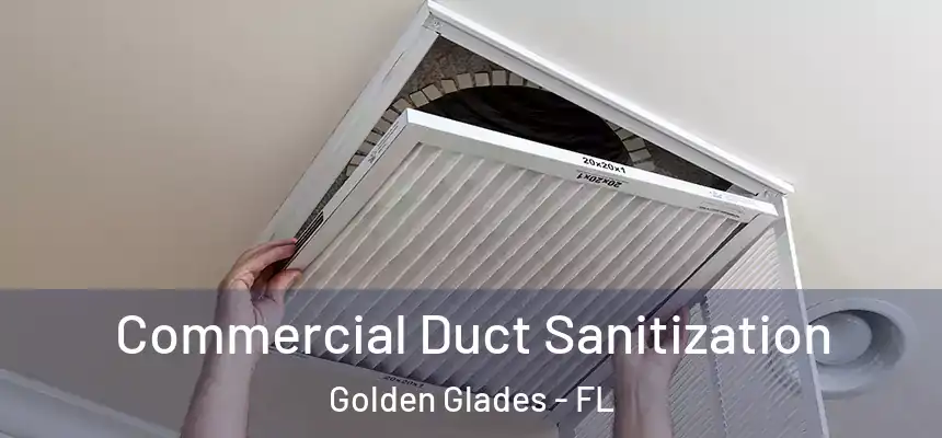 Commercial Duct Sanitization Golden Glades - FL