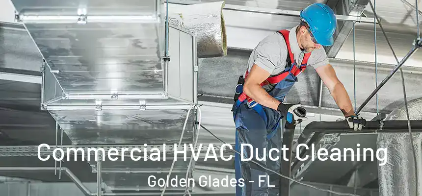 Commercial HVAC Duct Cleaning Golden Glades - FL