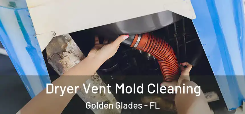Dryer Vent Mold Cleaning Golden Glades - FL
