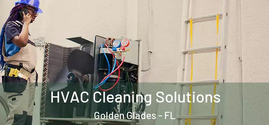 HVAC Cleaning Solutions Golden Glades - FL