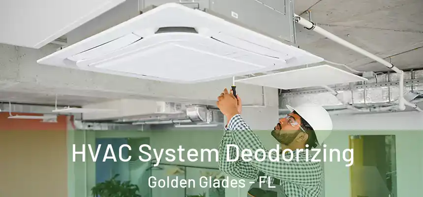 HVAC System Deodorizing Golden Glades - FL