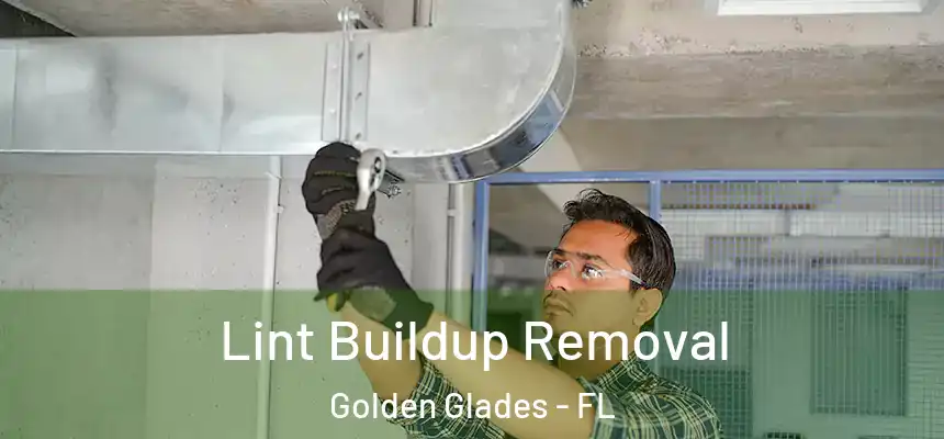 Lint Buildup Removal Golden Glades - FL