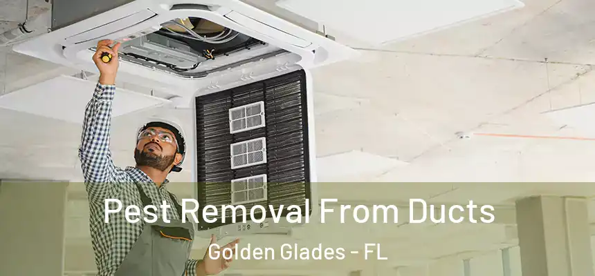 Pest Removal From Ducts Golden Glades - FL
