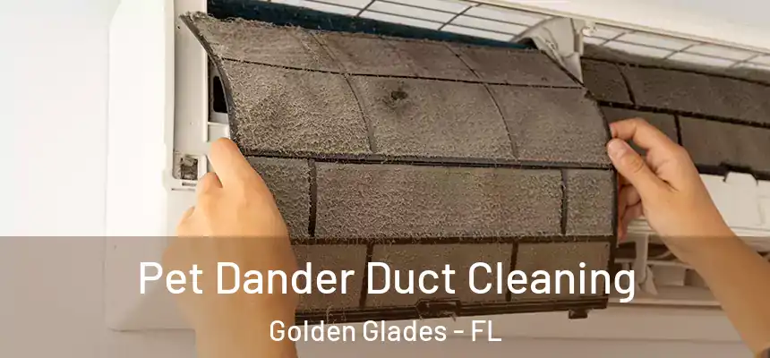 Pet Dander Duct Cleaning Golden Glades - FL