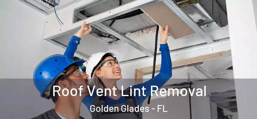 Roof Vent Lint Removal Golden Glades - FL