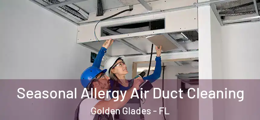 Seasonal Allergy Air Duct Cleaning Golden Glades - FL
