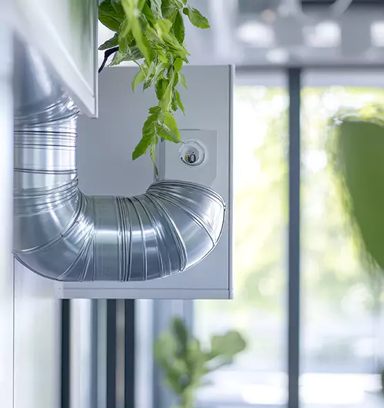 Professional Eco-Safe Dryer Vent Cleaning in Golden Glades, FL