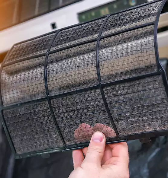 About Pet Dander Duct Cleaning in Golden Glades, FL
